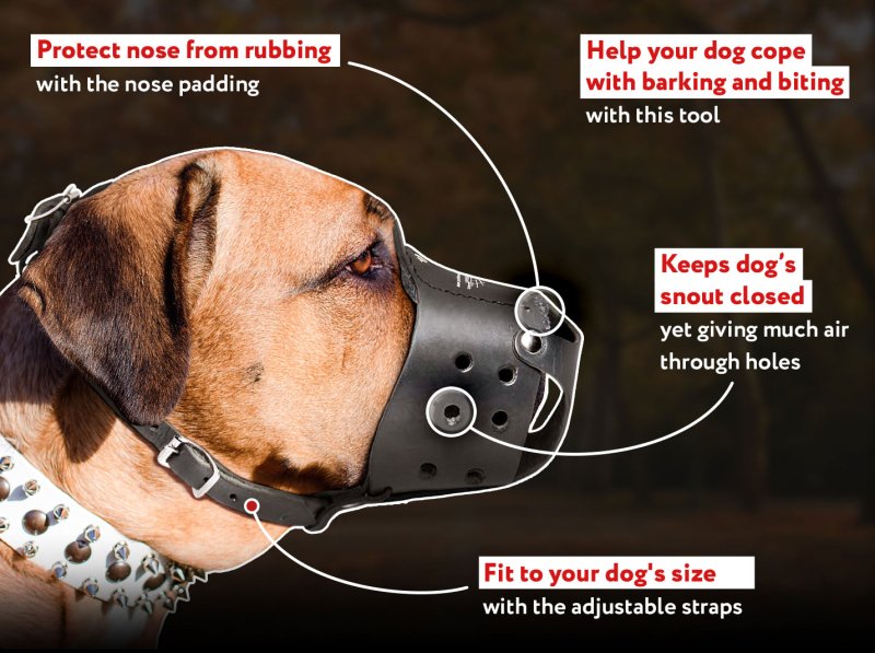 Dog muzzle shop to stop barking