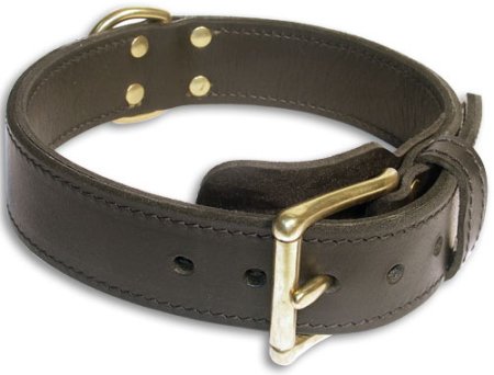 Shock collar for outlet mastiff