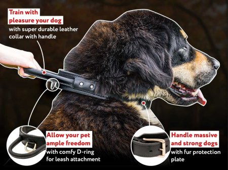 Muzzle hotsell collar harness