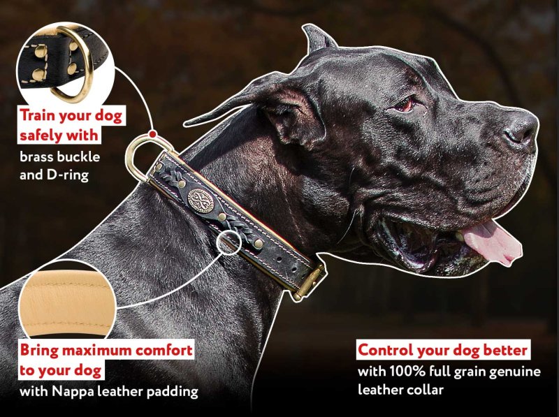 Leather dog collar, Dog collar handmade