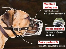 SAR Lightweight Nylon Cane Corso 【Harness】 for Working Dogs : Cane Corso dog  harness, Cane Corso dog muzzle, Cane Corso dog collar, Dog leash