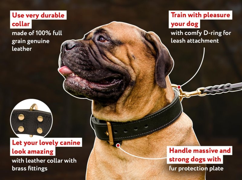 21 inch dog outlet collar