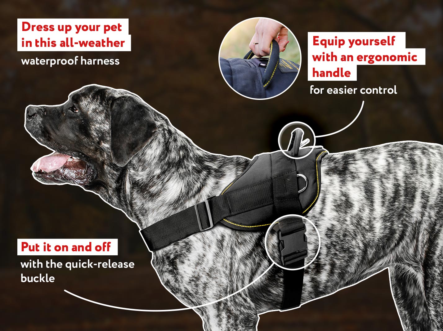 Best harness for english mastiff hotsell