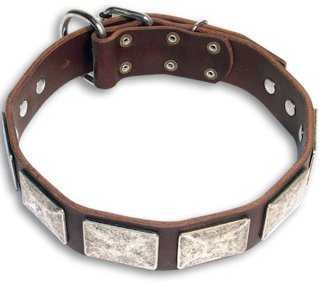 Custom sale mastiff collars