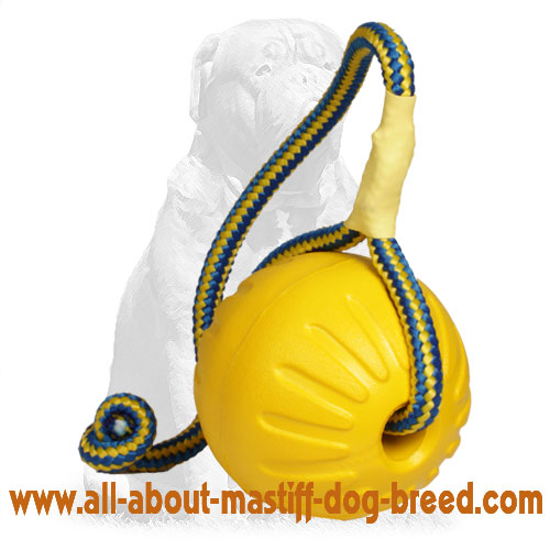 inflatable dog ball