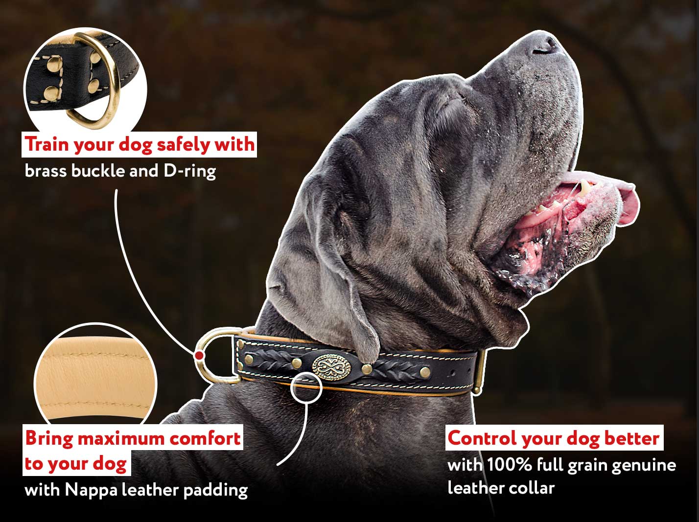 Braided Collar Dog Collar Genuine Leather D-Ring Durable Premium