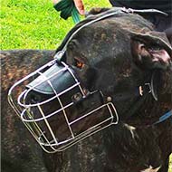 Extra Large Wire Basket dog muzzle for large Breeds Extra Large Wire Basket dog muzzle for large Breeds