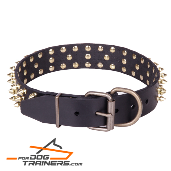 Leather dog collar with amazing decor