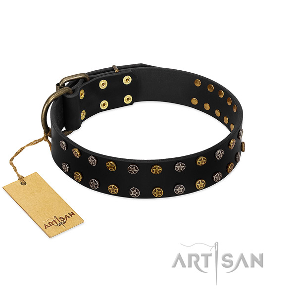Designer leather dog collar with reliable decorations