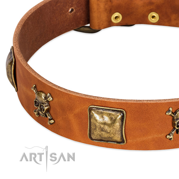 Stylish adornments on full grain leather collar for your four-legged friend