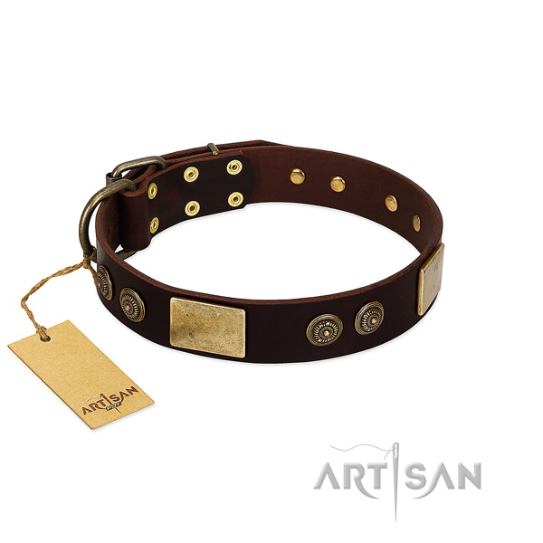 Rust resistant buckle on genuine leather dog collar for your dog