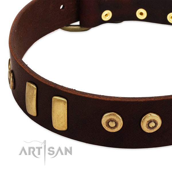 Gentle to touch full grain leather collar with incredible studs for your dog