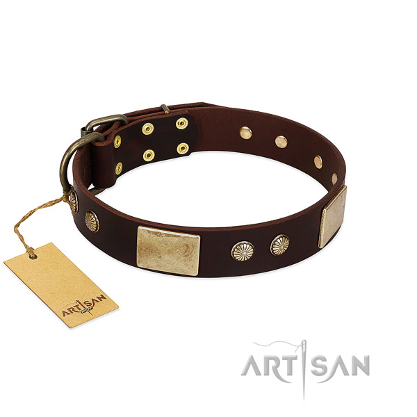 Easy to adjust full grain natural leather dog collar for daily walking your four-legged friend