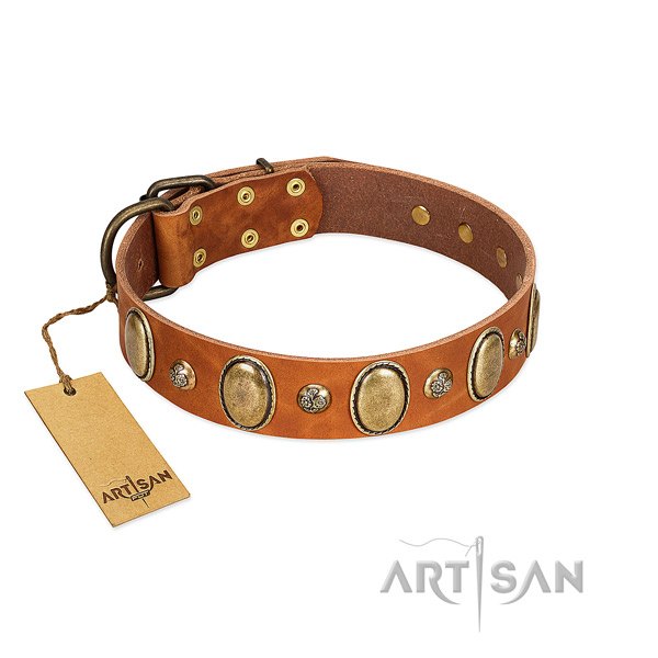Natural leather dog collar of soft to touch material with exceptional adornments