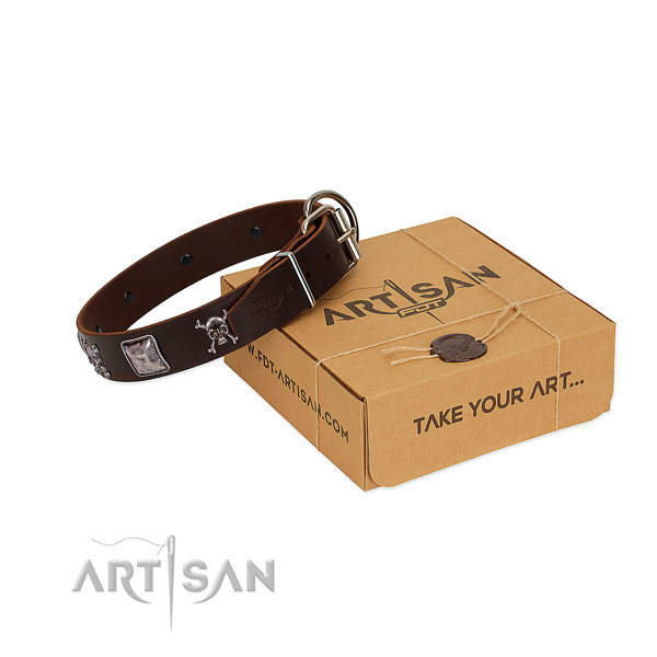 Exquisite collar of full grain leather for your four-legged friend