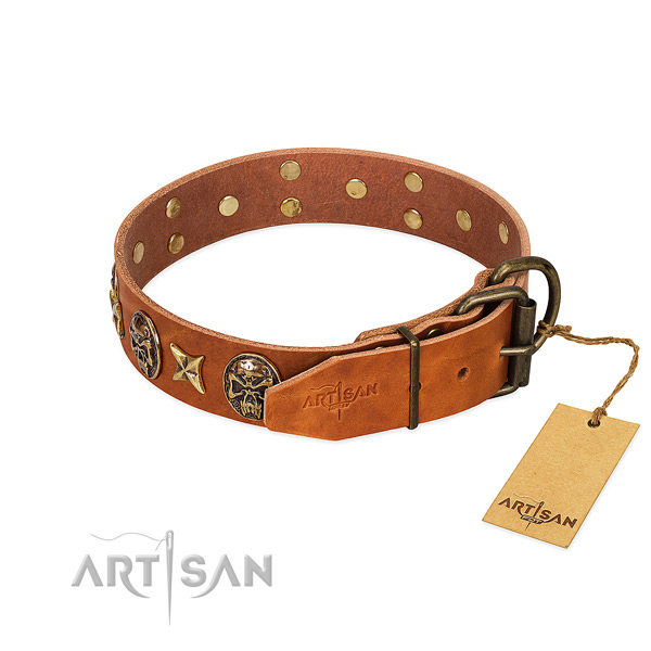 Full grain leather dog collar with durable traditional buckle and adornments