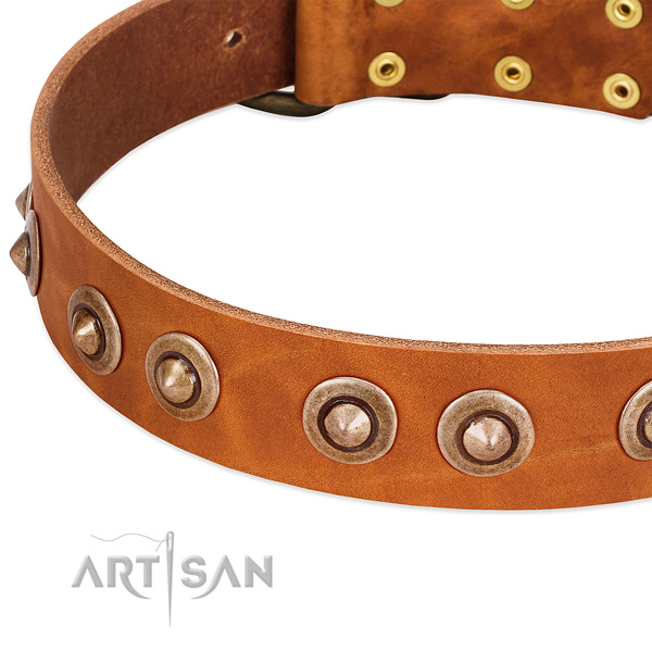 Corrosion proof embellishments on genuine leather dog collar for your doggie
