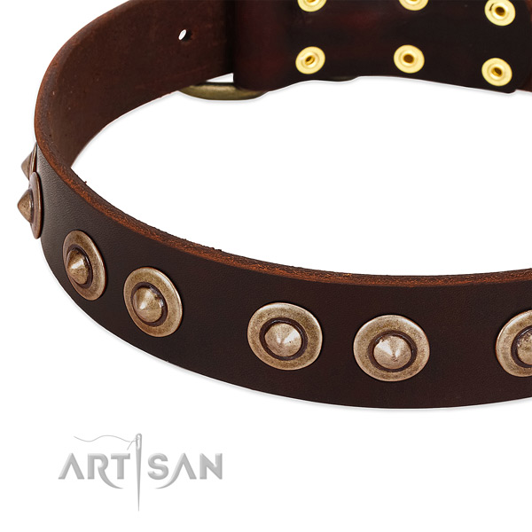 Strong adornments on full grain genuine leather dog collar for your dog