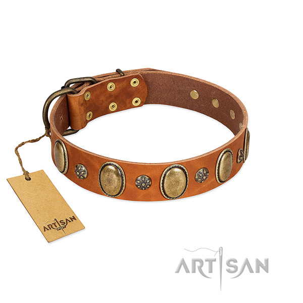 Daily use reliable genuine leather dog collar with adornments