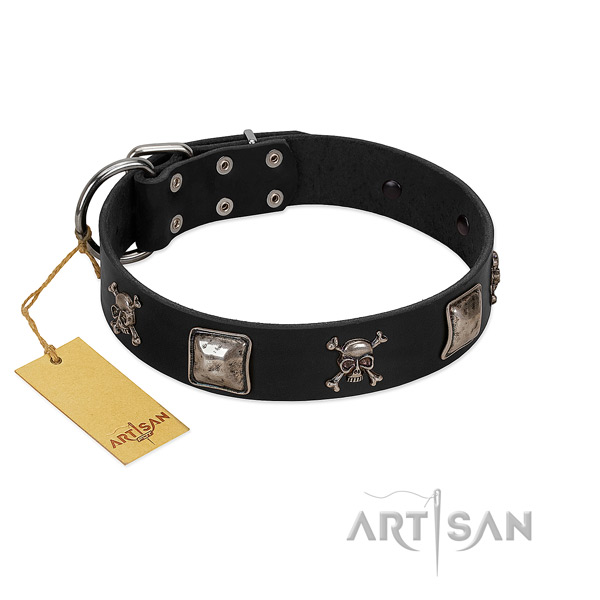 Trendy embellished leather dog collar