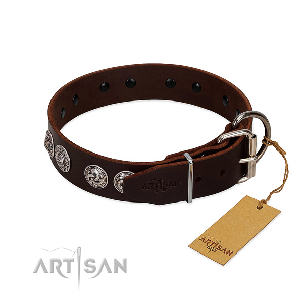 Inimitable leather collar for your pet stylish walks