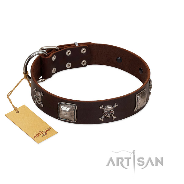 Amazing adorned genuine leather dog collar