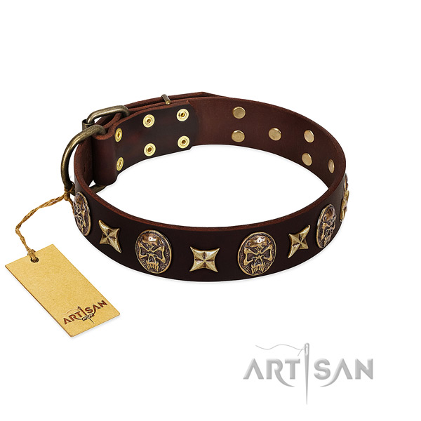 Significant full grain natural leather collar for your four-legged friend