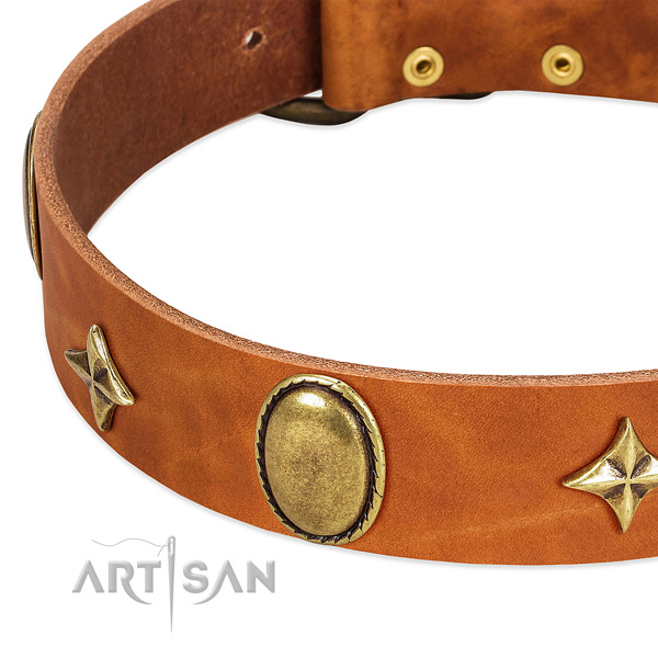 Soft to touch natural leather dog collar with rust-proof traditional buckle