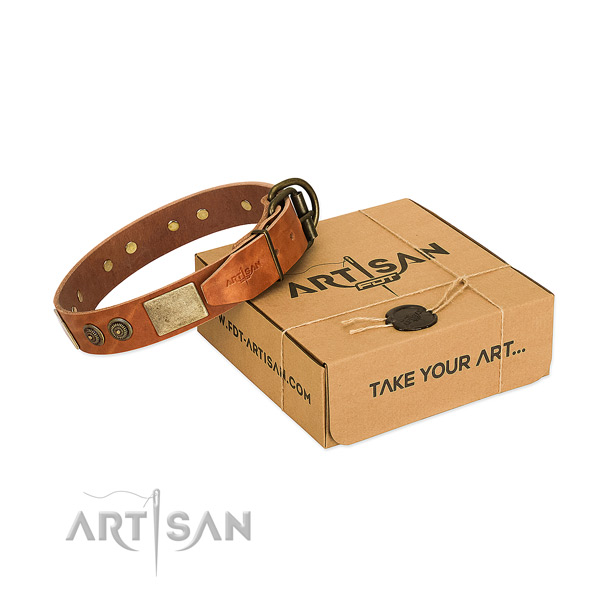 Rust-proof fittings on leather dog collar for walking