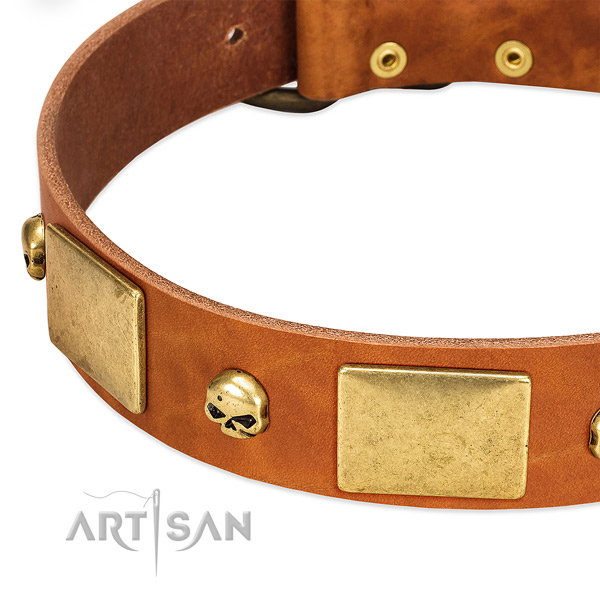 Top rate leather dog collar with corrosion resistant buckle