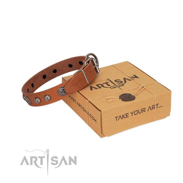 Durable full grain leather dog collar handcrafted for your canine