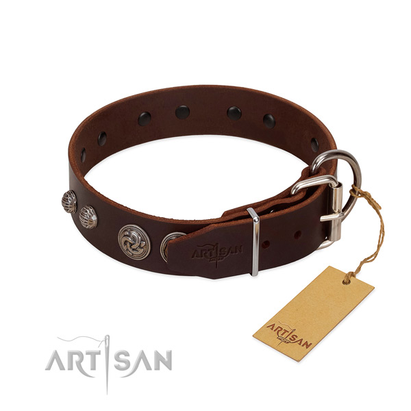 Rust-proof adornments on genuine leather dog collar for your doggie