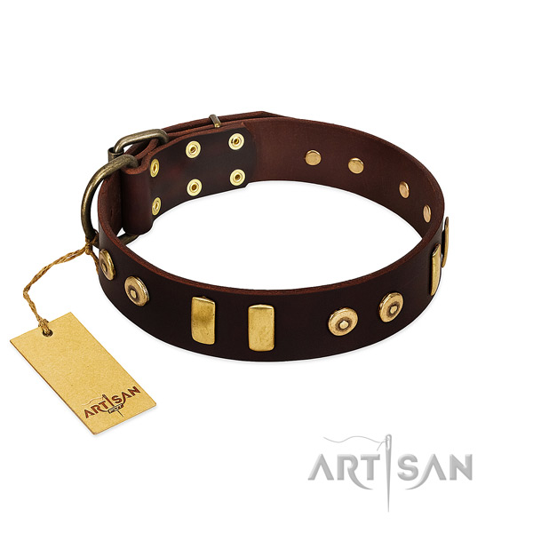 Full grain leather dog collar with fashionable studs for handy use