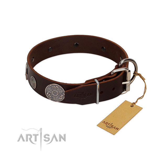 Rust-proof adornments on genuine leather dog collar