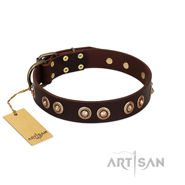Easy to adjust full grain leather dog collar for everyday walking your four-legged friend