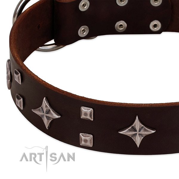 Incredible leather dog collar for easy wearing