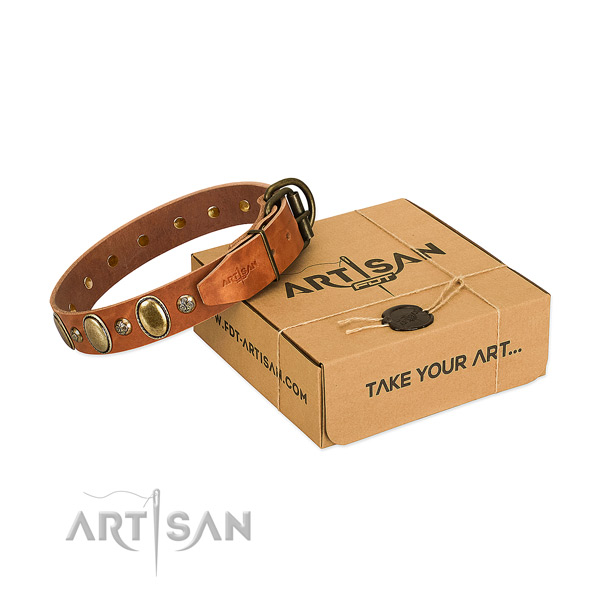 Handmade full grain leather dog collar with reliable traditional buckle