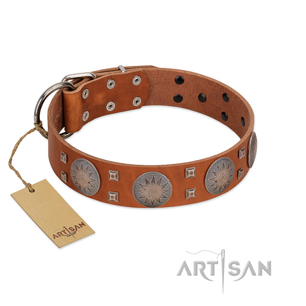 Remarkable full grain genuine leather collar for your attractive four-legged friend