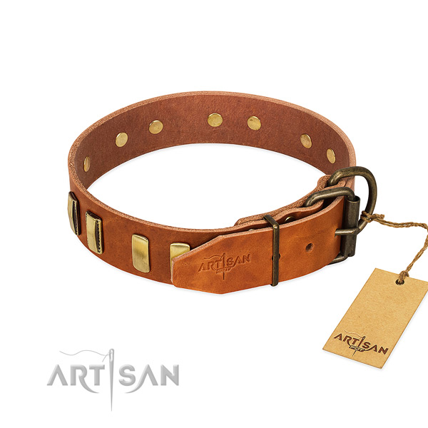 High quality leather dog collar with rust resistant traditional buckle