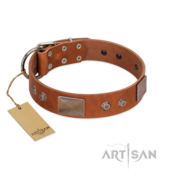 Adorned full grain leather dog collar with reliable buckle