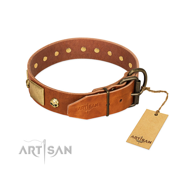 Gentle to touch full grain genuine leather dog collar with corrosion proof adornments