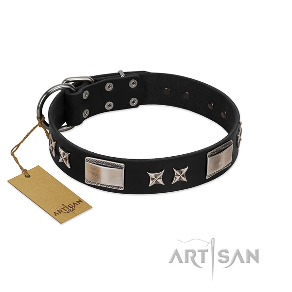 Flexible full grain leather dog collar with durable fittings