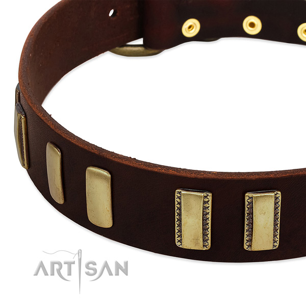 Full grain natural leather dog collar with corrosion proof D-ring for walking