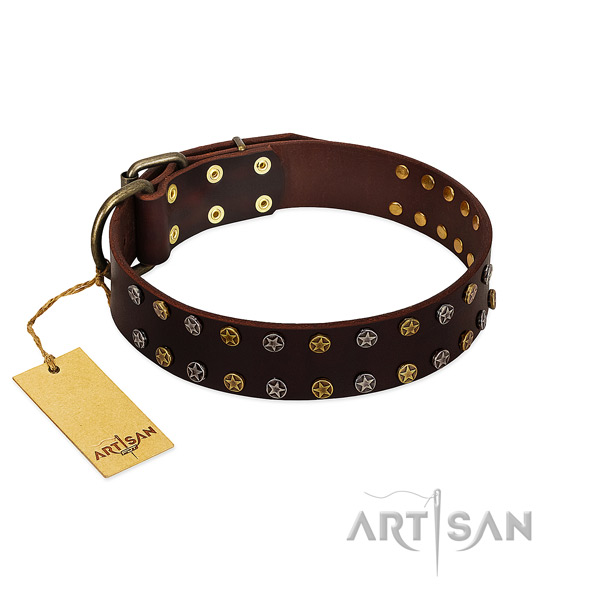 Everyday walking quality full grain natural leather dog collar with adornments