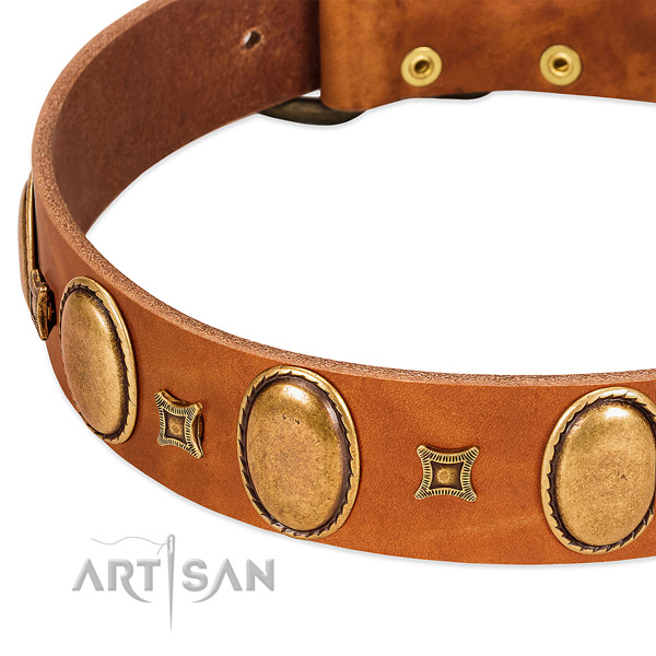 Full grain leather dog collar with durable traditional buckle for everyday use