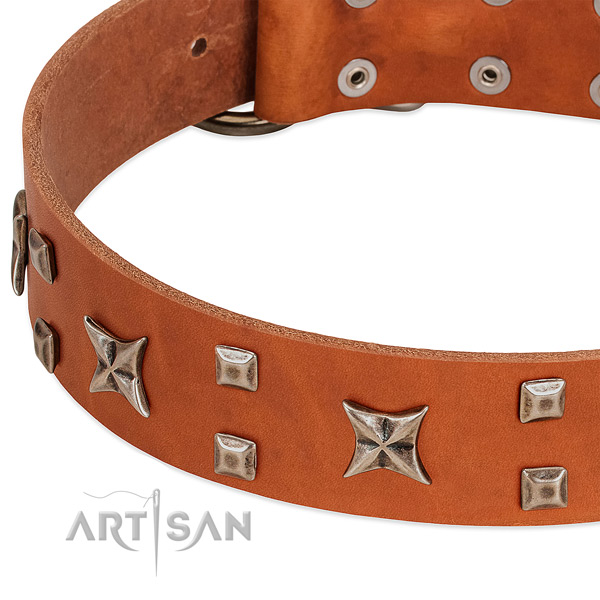 Top notch full grain leather dog collar with adornments for comfortable wearing
