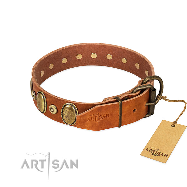 Strong adornments on easy wearing collar for your pet