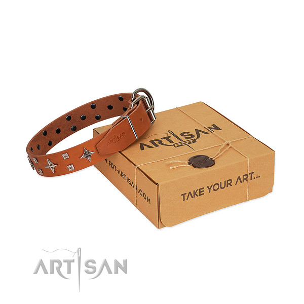 Unique full grain genuine leather collar for your four-legged friend stylish walks