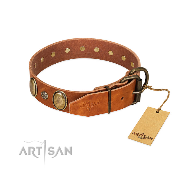 Fancy walking top notch genuine leather dog collar