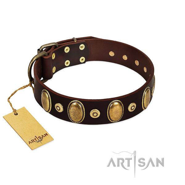 Everyday use dog collar of natural genuine leather